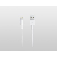 iLexan 领先者 Apple8P 数据线 100cm iPhone5/iPad4专用
